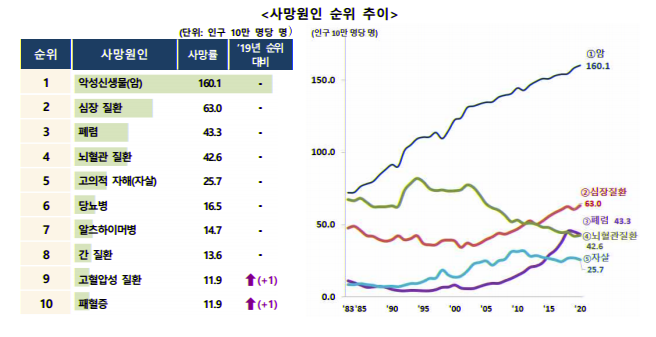 보험금